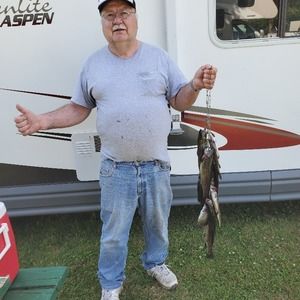 Meet your Posher, Bill